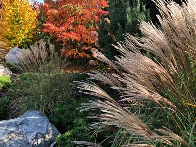 Ogród jesienią: Najlepsze akcesoria ogrodowe na ten sezon